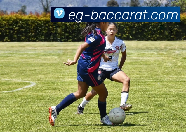 百家乐官网APP 体育赛事宣传图